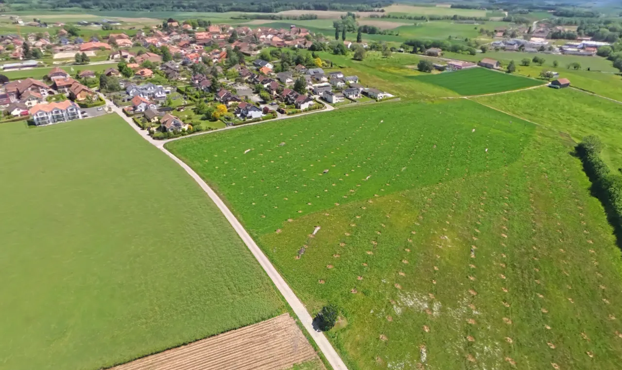 Espace immobilier capturé en 3D navigable